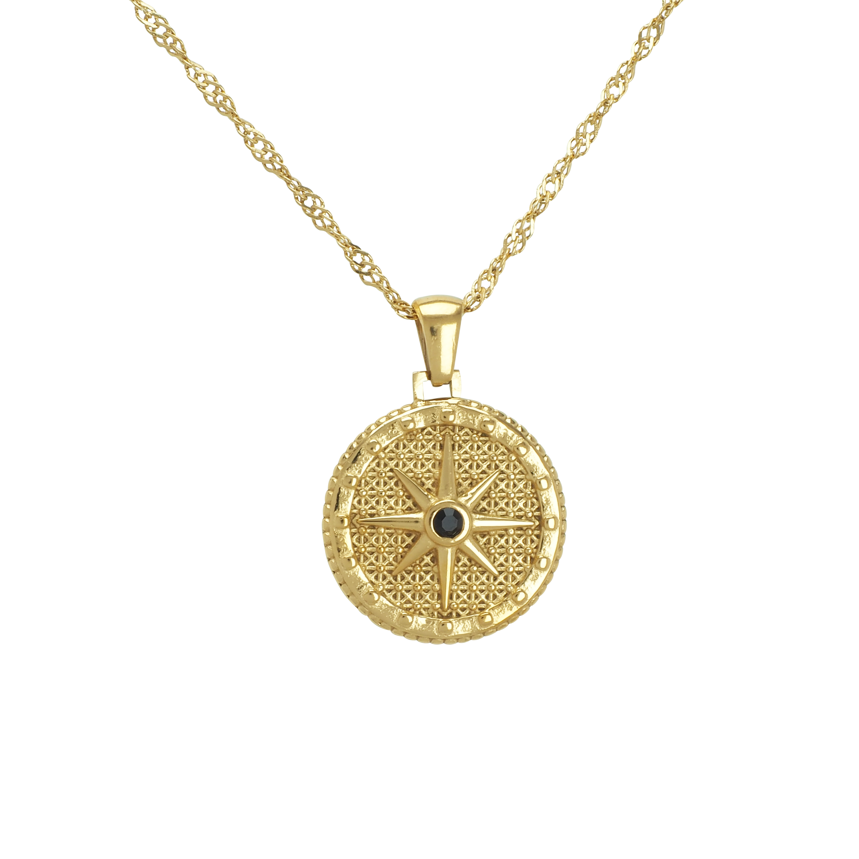 shop-authentic-polaris-coin-necklace-fashion_1.png